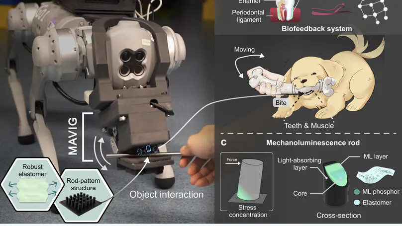 A Bio-Inspired Event-Driven Mechanoluminescent Visuotactile Sensor for Intelligent Interactions