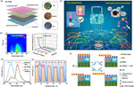 Persistent triboelectrification-induced electroluminescence for self-powered all-optical wireless user identification and multi-mode anti-counterfeiting